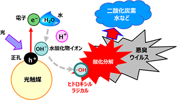光觸媒除甲醛永久性的挑戰(zhàn) 光觸媒除甲醛永久性的挑戰(zhàn)